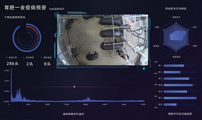 AI站群程序：电商行业的革新力量